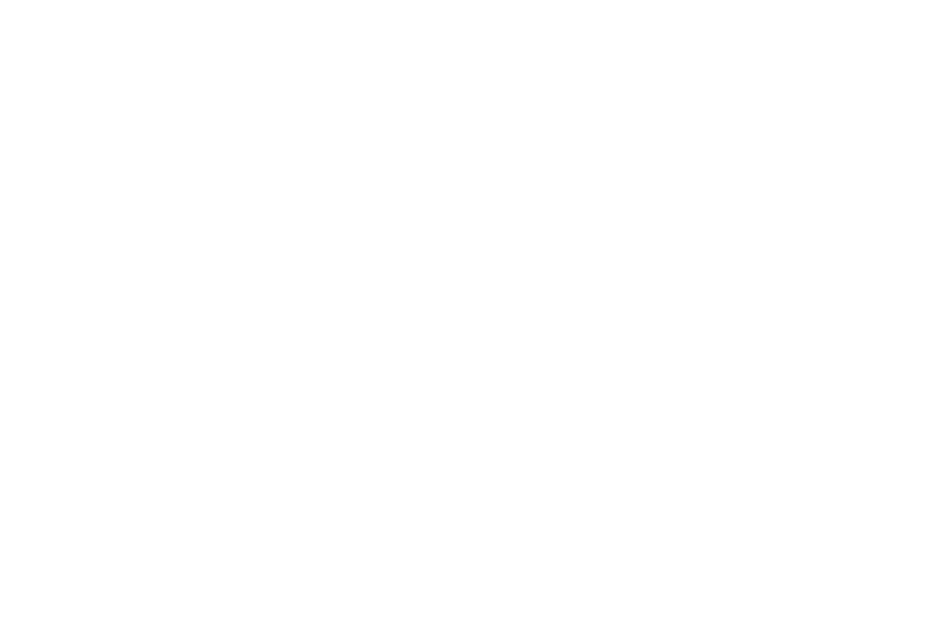 Danish Clean Water logo