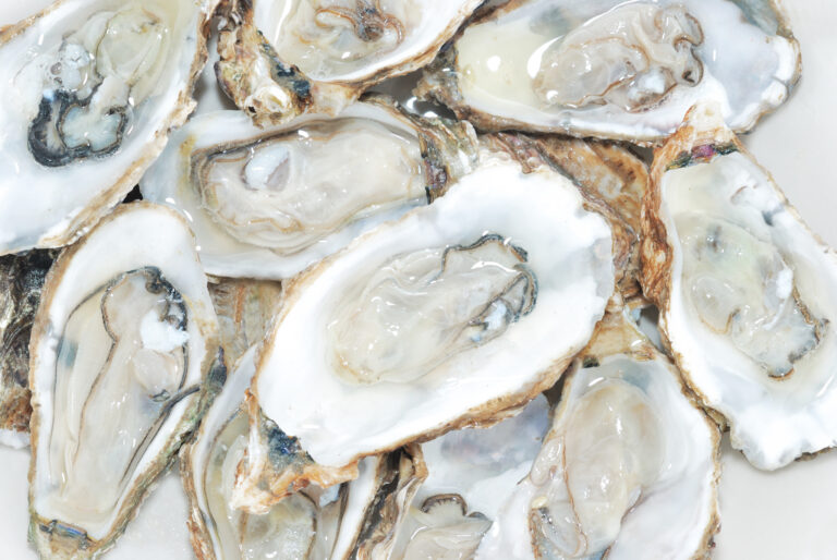 Seafood handling_Shellfish