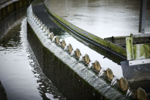 Treated wastewater